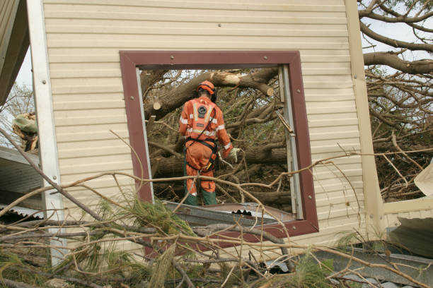 Professional Tree Care Services in Shoshone, ID